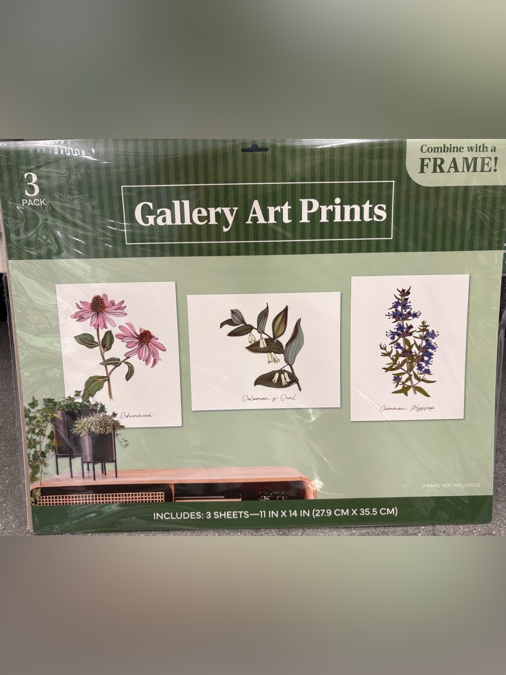 Gallery Art Prints Botanical Set - Green